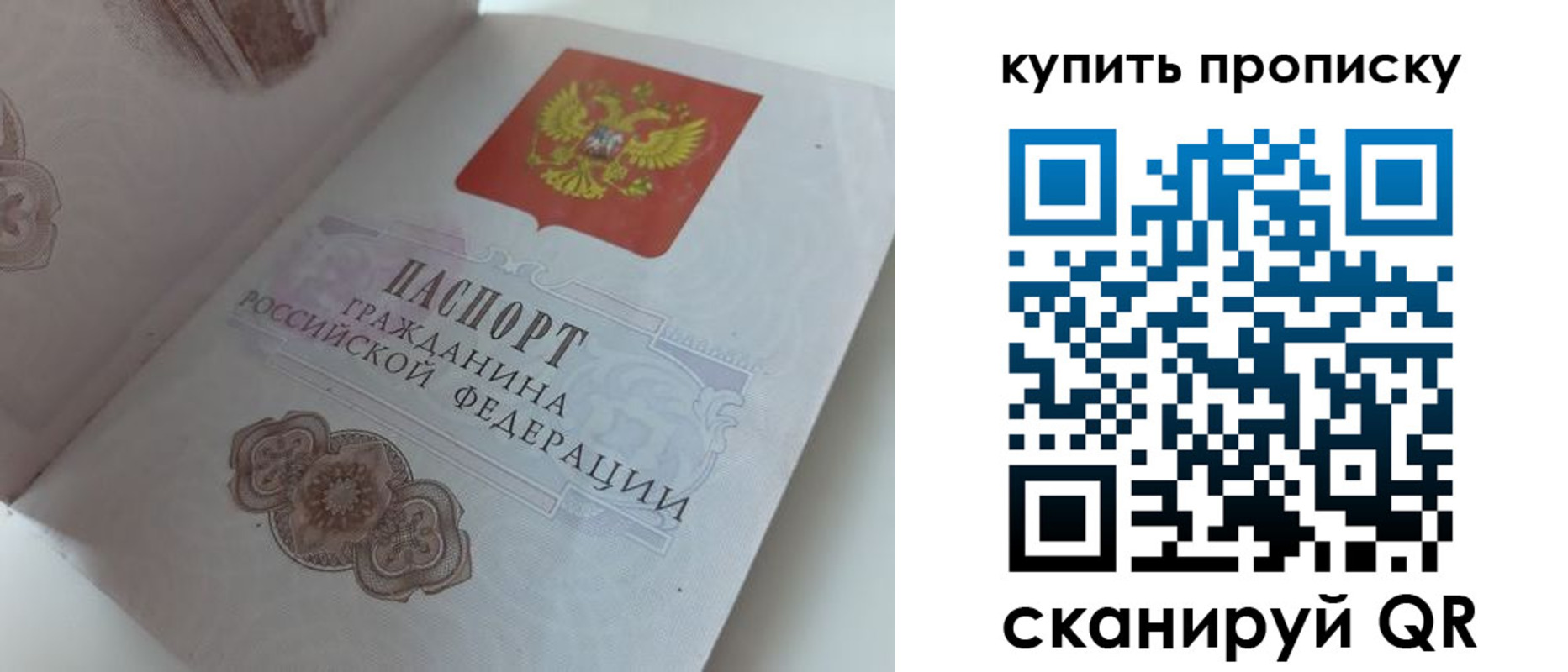 временная регистрация недорого в Пионерском